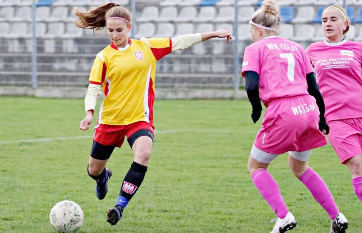 Pół Podkowy. Tuzin Ślęzy