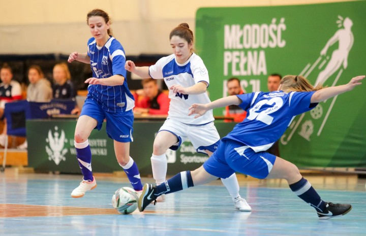 Komplet finalistów AMP