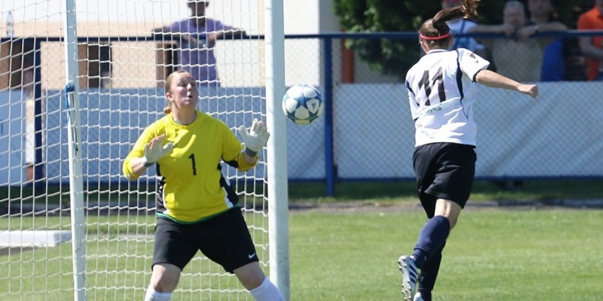 Mikołajczak przed Weber