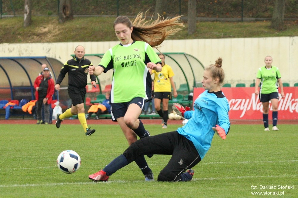 Tucholanka Tuchola – Mustang Wielgie