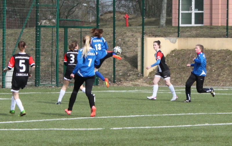 Tucholanka - Canicuła