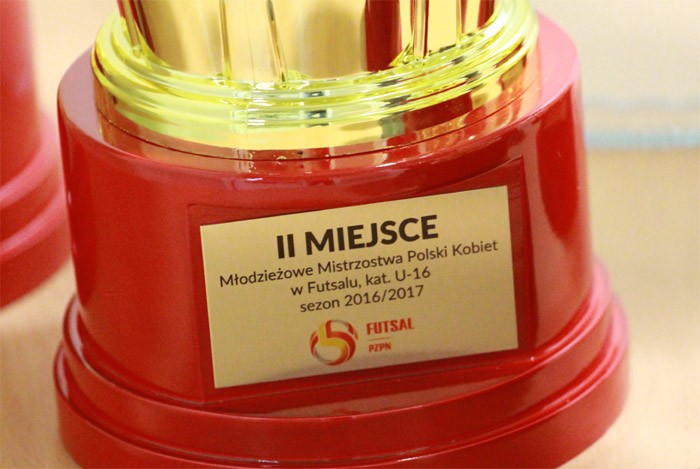 Bronowianka na MMP U16